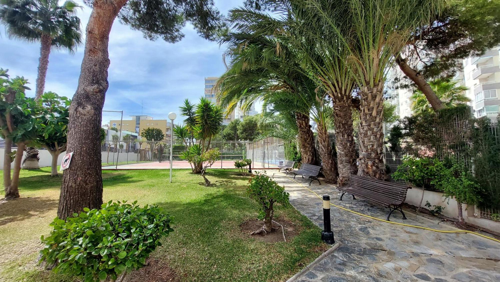 B L U E: Muchavista Sea View Apartment El Campello Exteriör bild